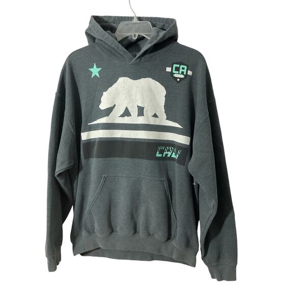 Tony Hawk Hoodie California Bear Graphic Size Men’s Large Gray - Picture 1 of 5